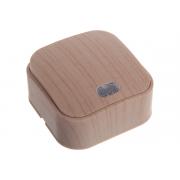 ionich-1-kl-s-podsvetkoj-sosna-1435