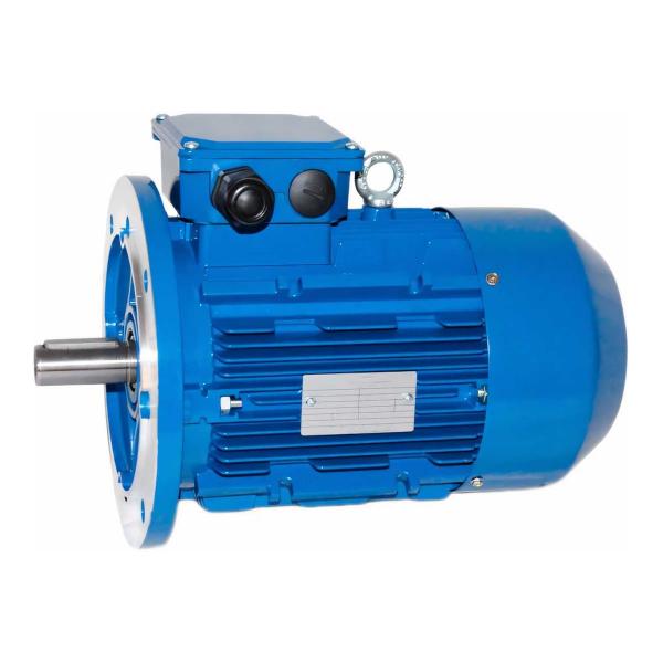 5ai-100-l4-4-1500-im-3081-01-01-213682