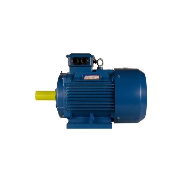 5ai-315-s2-160-3000-im-1001-01-01-213489