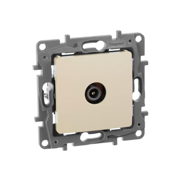 legrand-sp-etika-okonechnaya-5db-slonovaya-kost-leg-672365-1066949