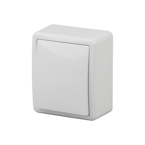 era-11-1201-01-10ah-250v-ip20-ou-ekspert-belyj-b0020653