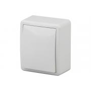 era-11-1201-01-10ah-250v-ip20-ou-ekspert-belyj-b0020653