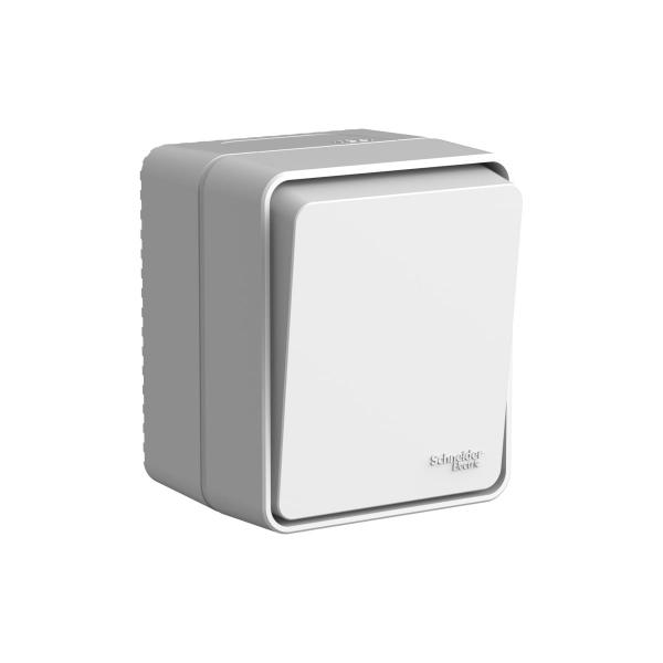 systeme-electric-atlasdesign-profi-ip54-o-u-10-ah-seryj-atn543011