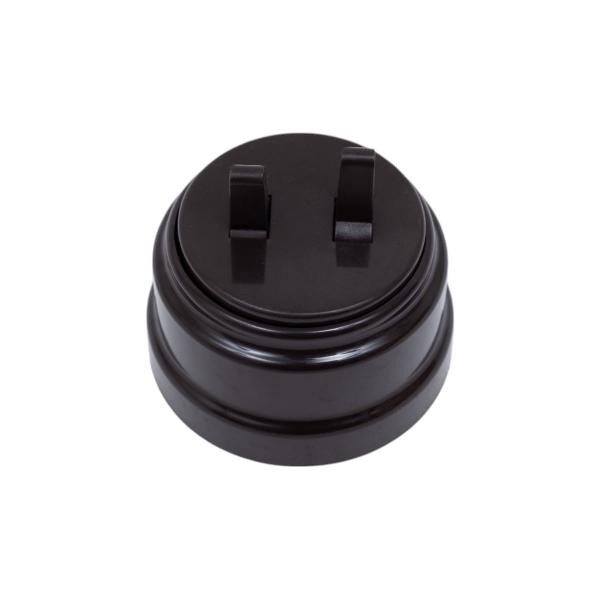 bylectrica-2-klavishnaya-tumblernyj-10a-otkrytaya-ustanovka-seriya-retro-a510-2204-shokolad