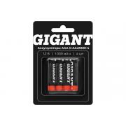 gigant-razmera-aaa-emkostyu-1000-mach-4sht-g-aaa1000-4
