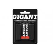 gigant-razmera-aa-emkostyu-2600-mach-2sht-g-aa2600-2