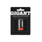 gigant-razmera-aaa-emkostyu-1000-mach-2sht-g-aaa1000-2