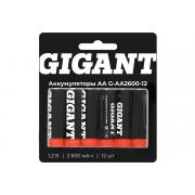 gigant-razmera-aa-emkostyu-2600-mach-12sht-g-aa2600-12