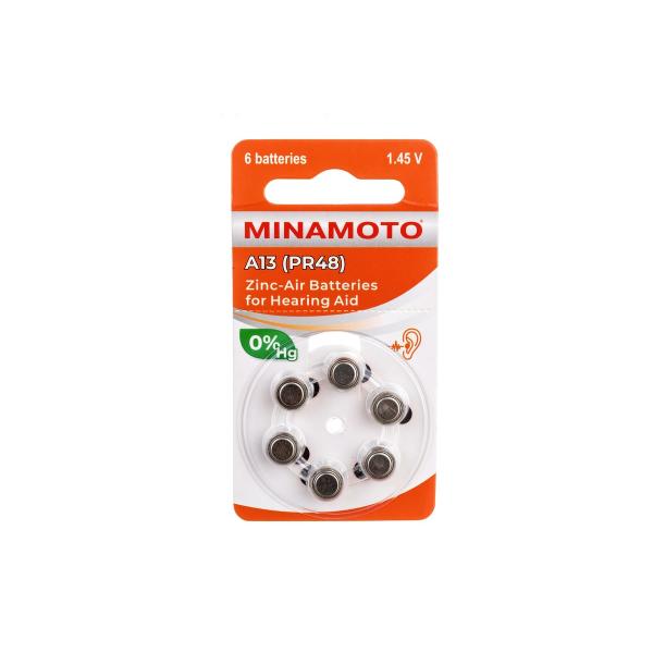 minamoto-a13-pr48-6-card-8813