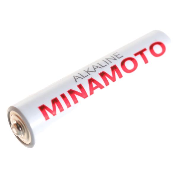 minamoto-lr03-2-shrink-405-4