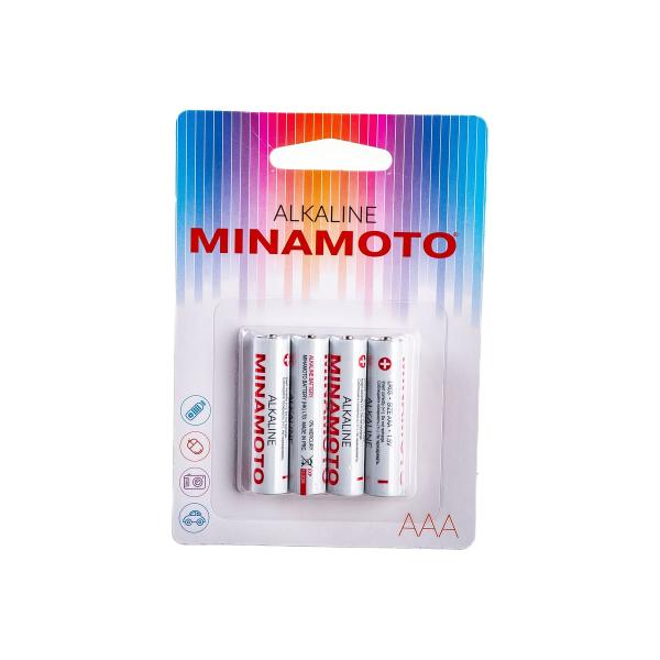 minamoto-lr03-4-card-4020