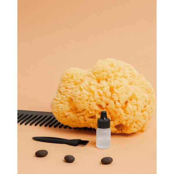 rombica-clipper-ttr-120-4