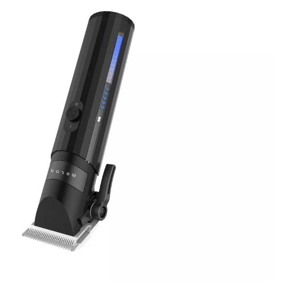 melon-pro-shtriga-iv-4