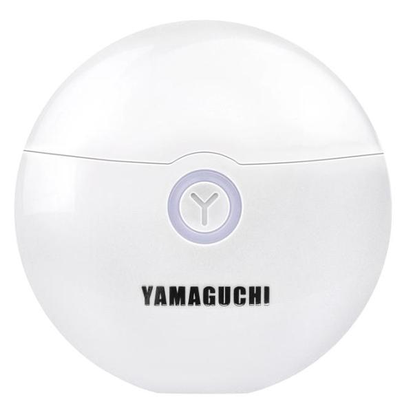 yamaguchi-ems-face-lifting-4