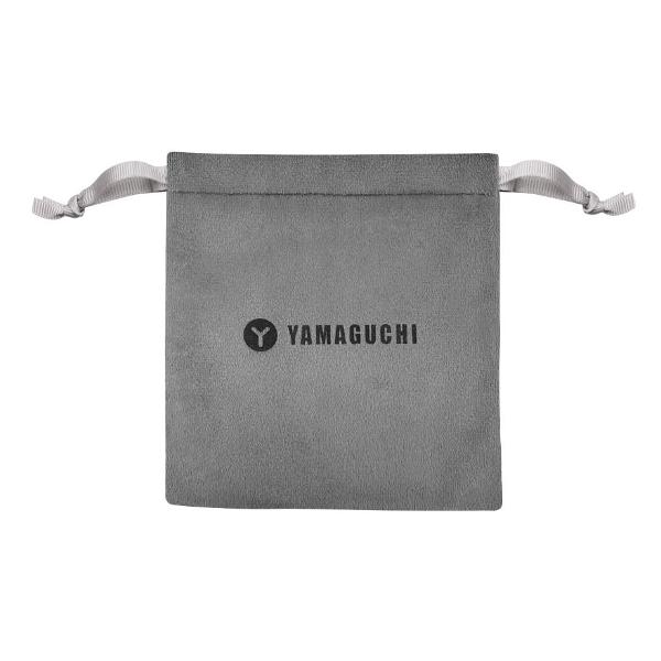 yamaguchi-ems-face-lifting-5