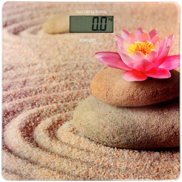 scarlett-sc-bs33e093