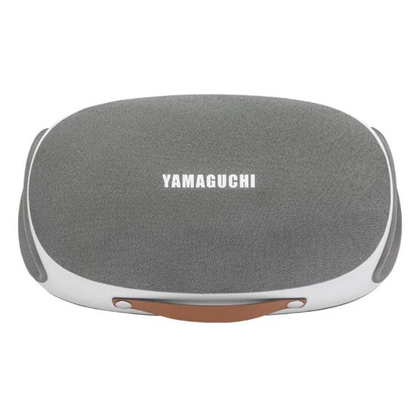 yamaguchi-heartline-2