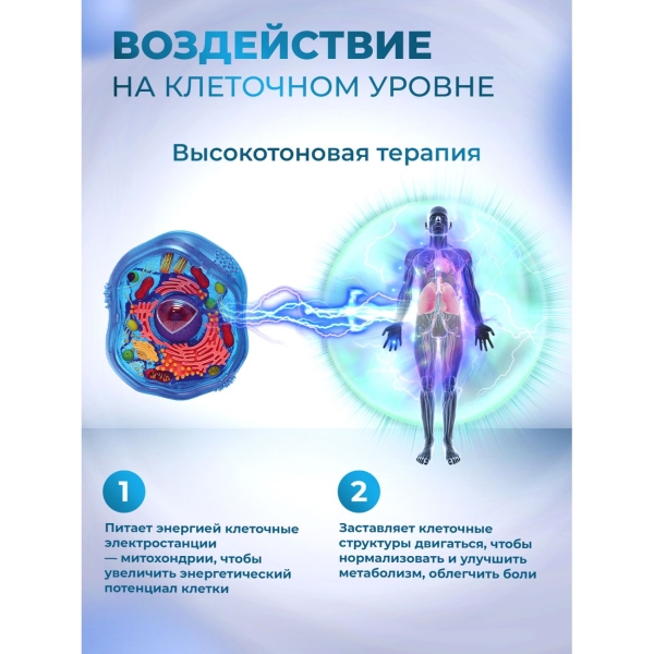 selfdocs-nadezhda-sustavov-3