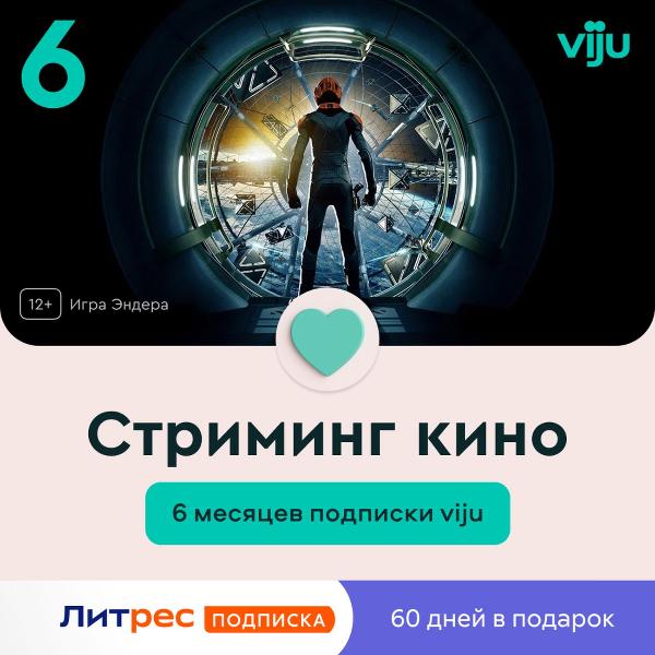 viju-litres-6-mesyacev